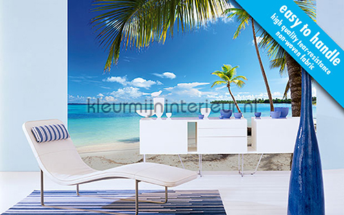 Caribbean Sea fottobehaang 00954 fottoehaang tob 15 Ideal Decor